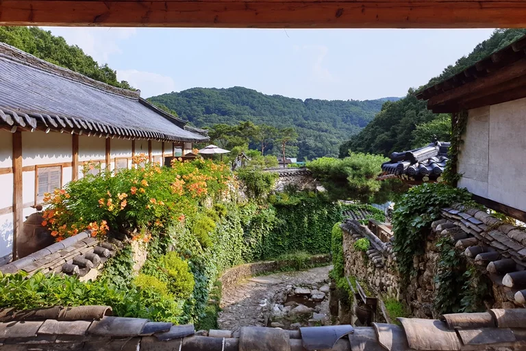카페 새오개길39 한옥 비스트로