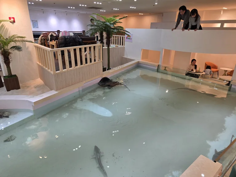 폼폼아쿠아카페