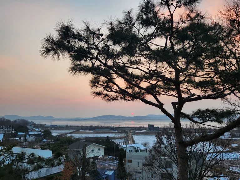 카페바움