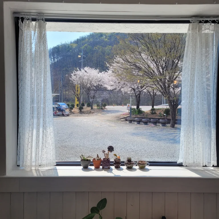 카페 하내리