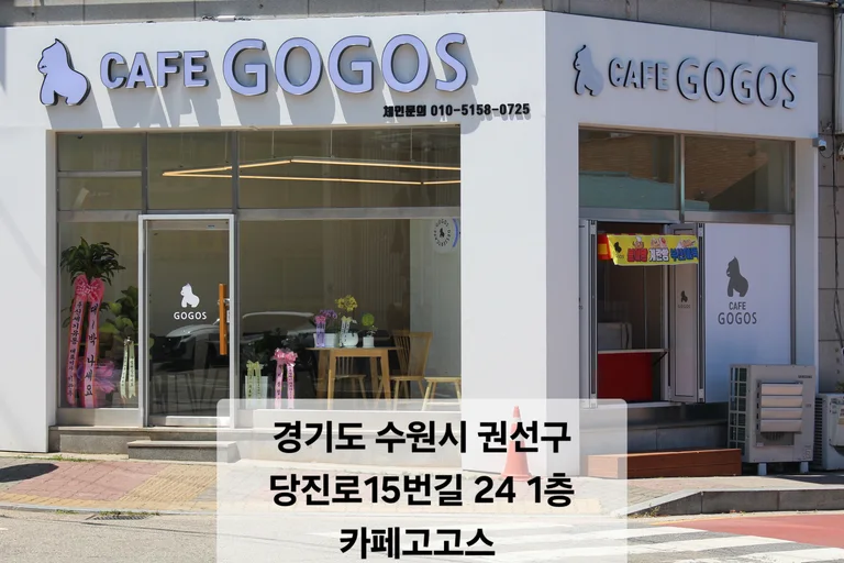 카페고고스24