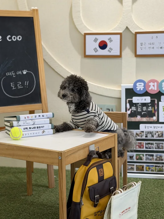 멍더쿠
