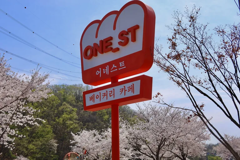 어네스트 광주초월점