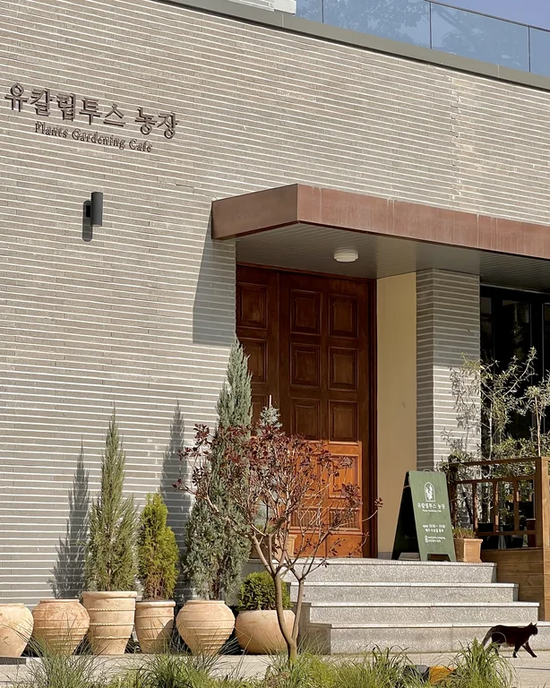 유칼립투스농장