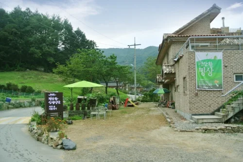 편안한인생상담