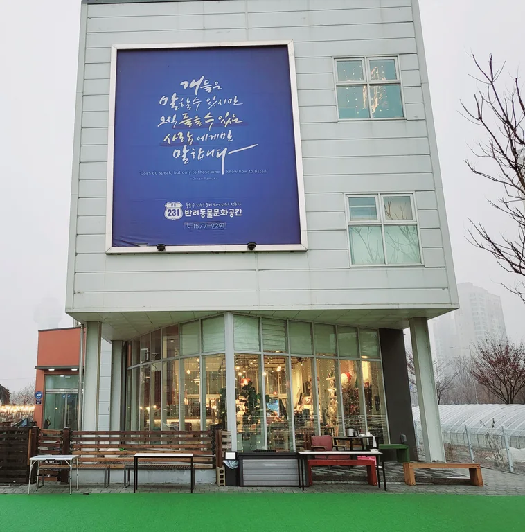 루트231 애견카페 애견유치원