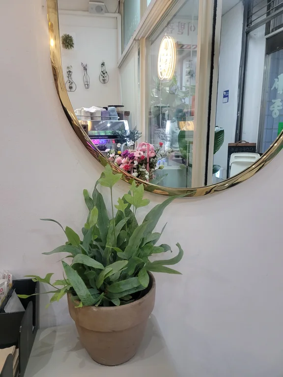커피팜