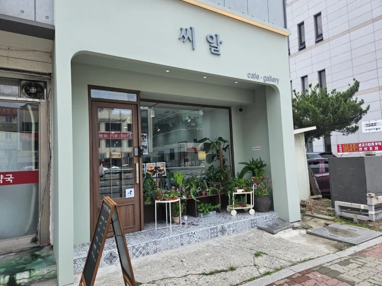 씨알 갤러리 카페