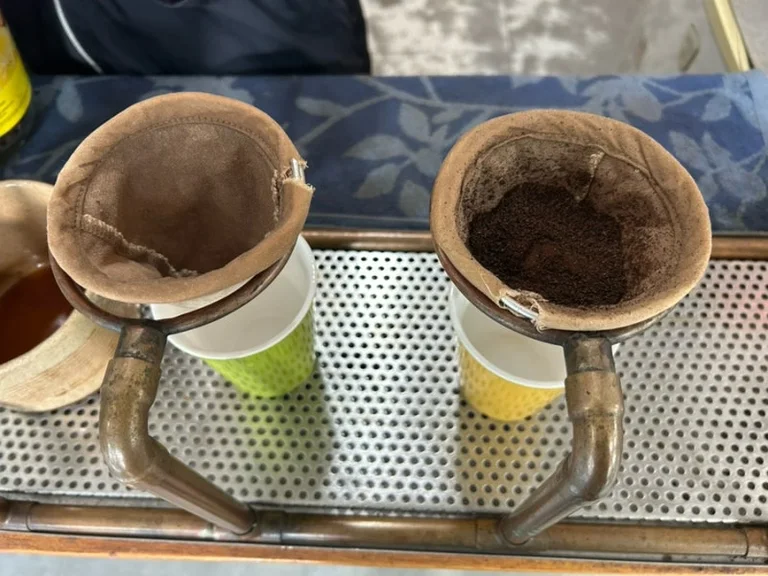 베어빈