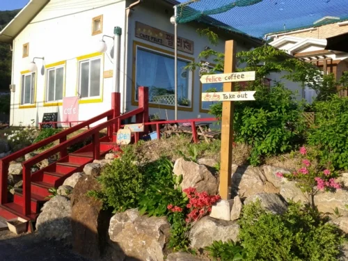 펠리체