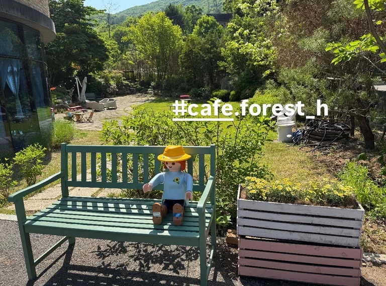 CAFE FOREST H