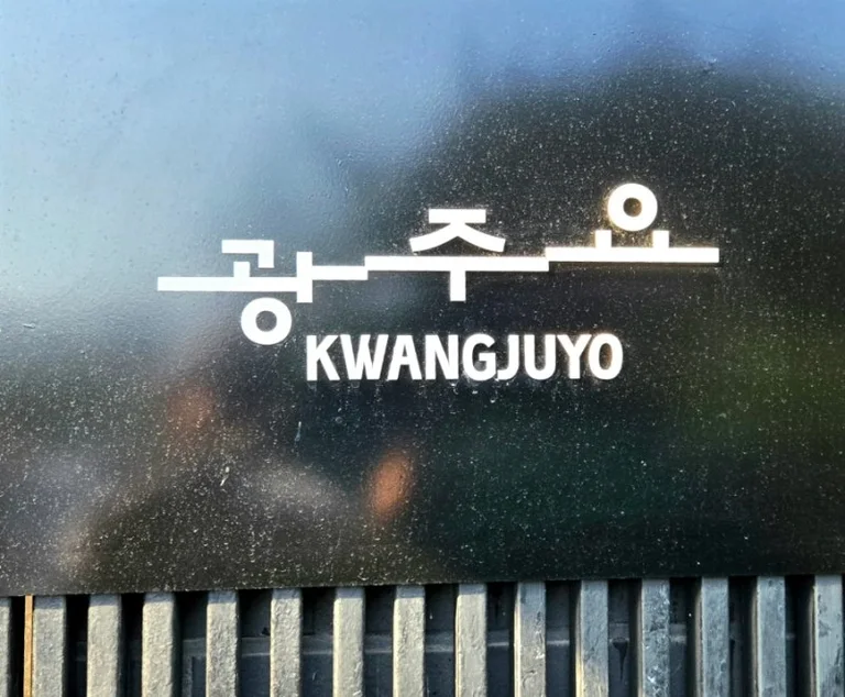 코유