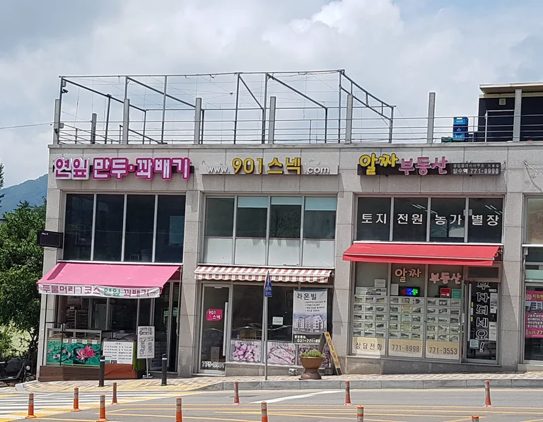 연잎만두꽈배기