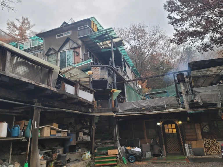 산장메추라기