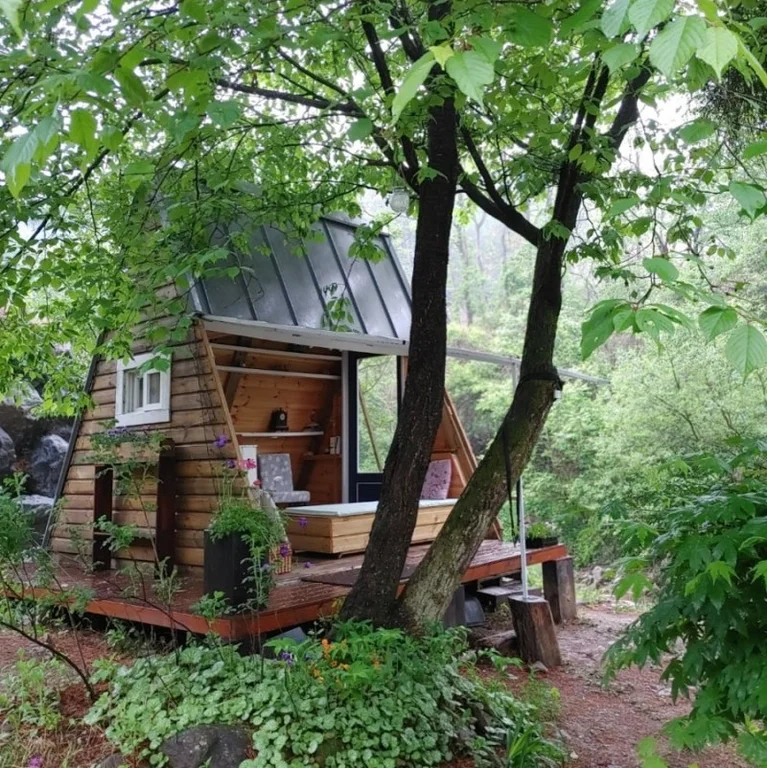 사계