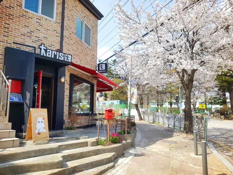 카페 카리스