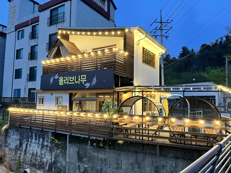 올리브나무 서종