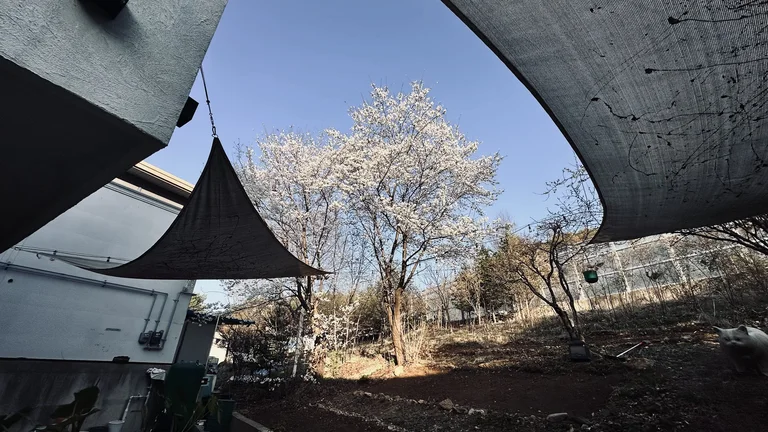연봉리 로스터리 카페