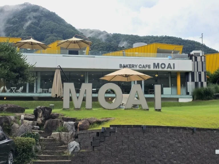모아이카페