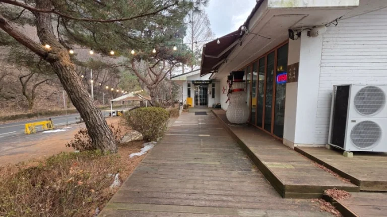 미술관 609