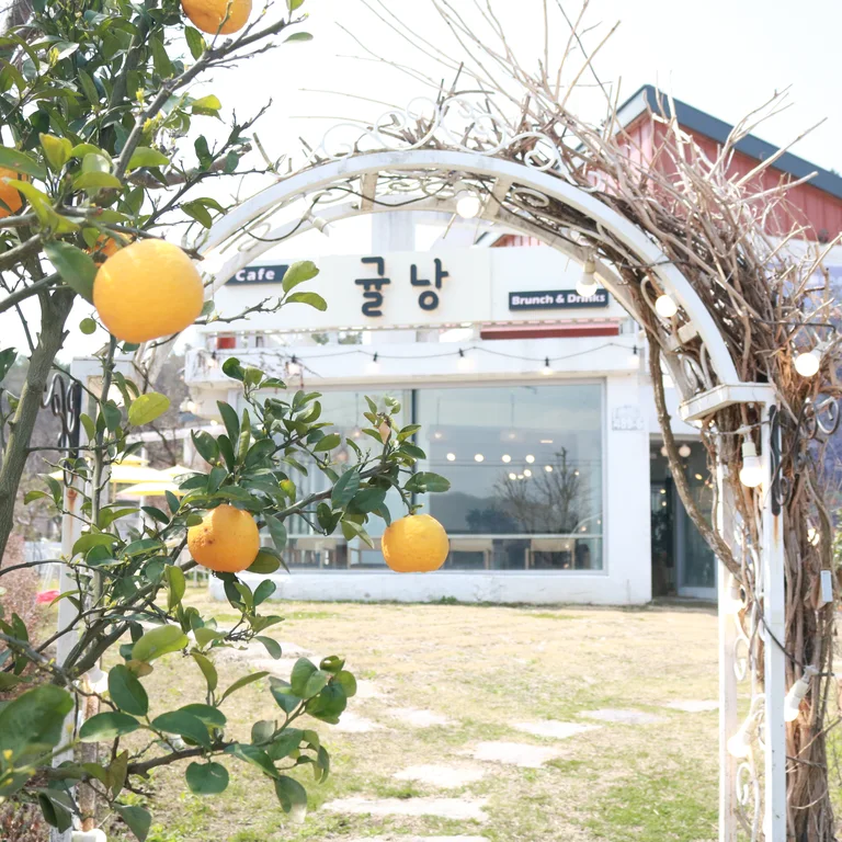 카페 귤낭