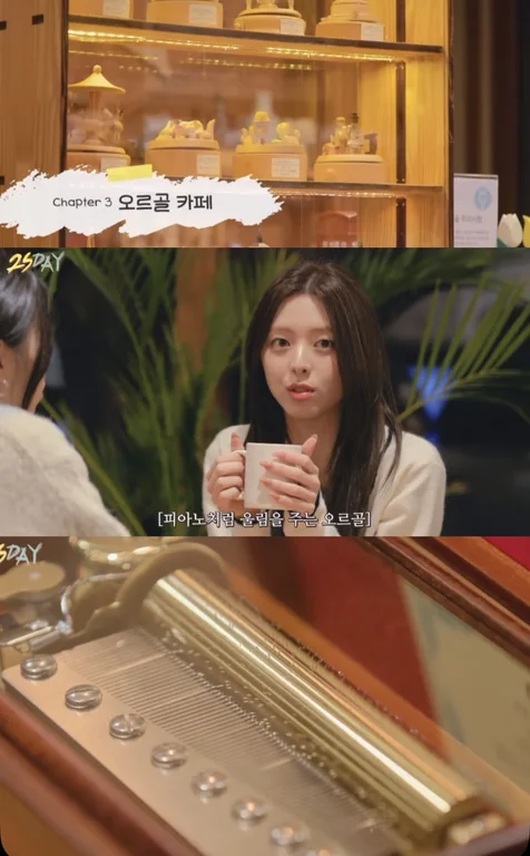 카페 오르골