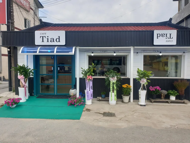 카페티아드