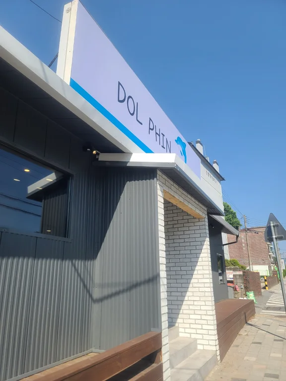 돌핀
