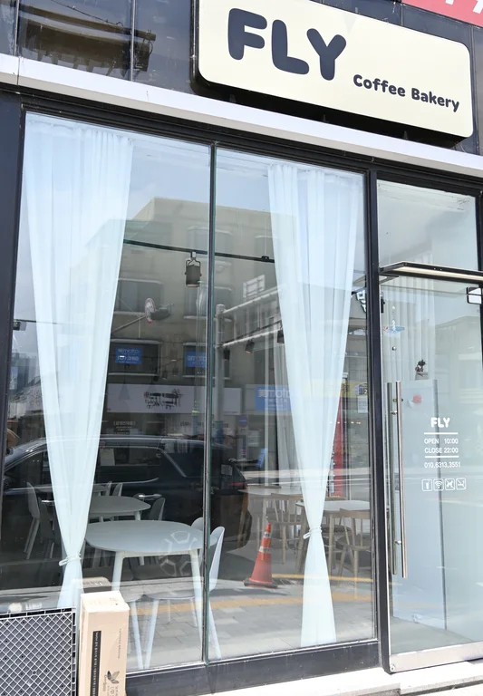 플라이