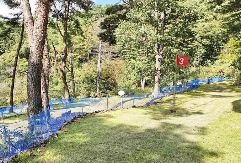 카페 용문산해와달