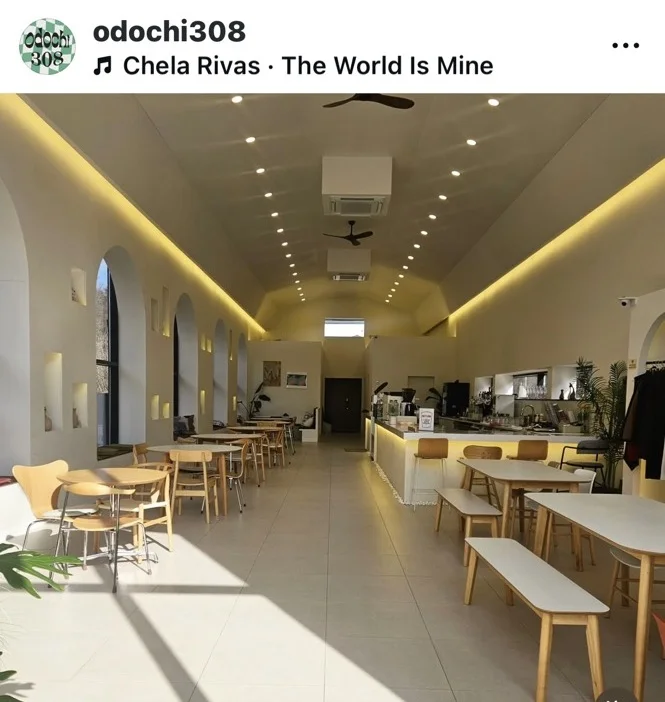 오도치308