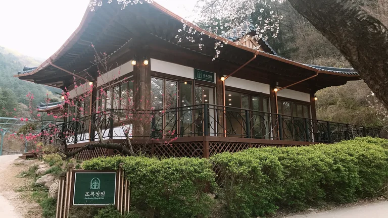 초록상점