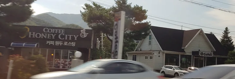 허니시티
