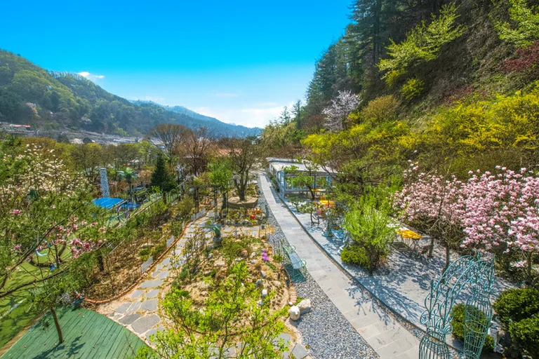 타샤의정원251