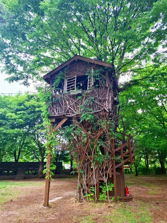 그라운드휴