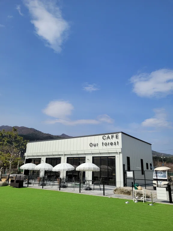 카페 아워포레스트