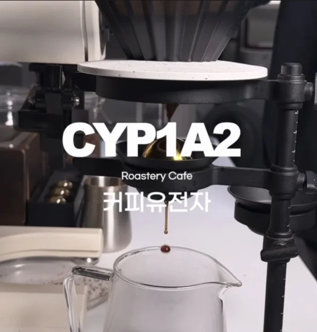 CYP1A2커피유전자