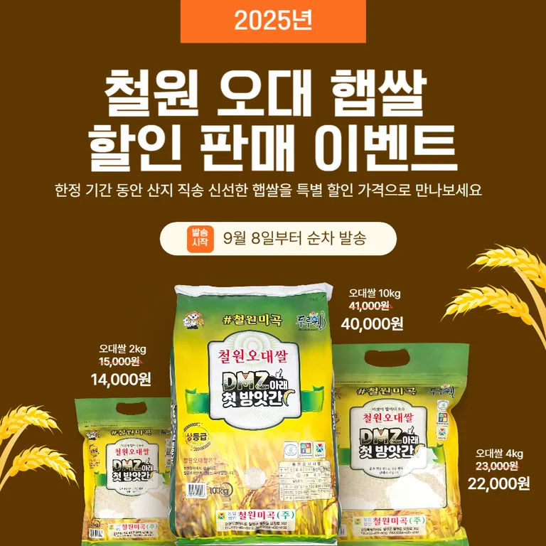 담올