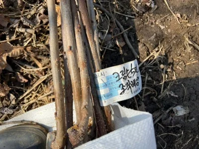 허수아비마을