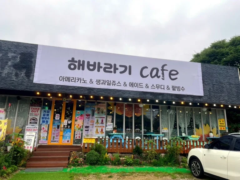 해바라기