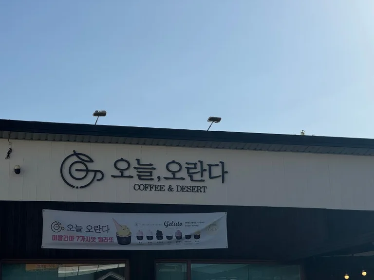 오늘 오란다