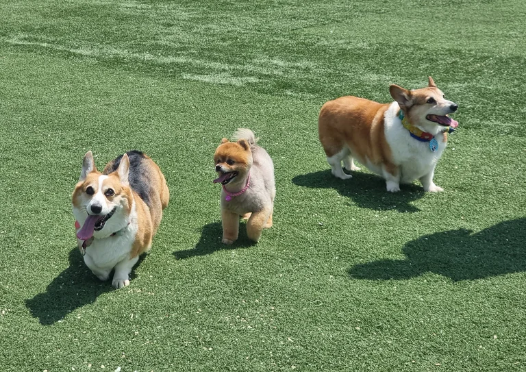 가평카페 커피쓰루