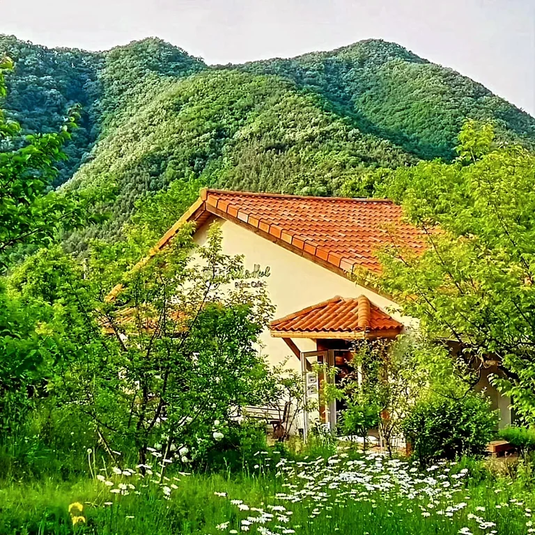 힐앤힐 카페