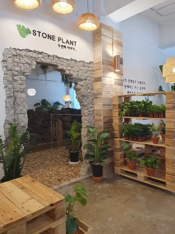 스톤플랜트