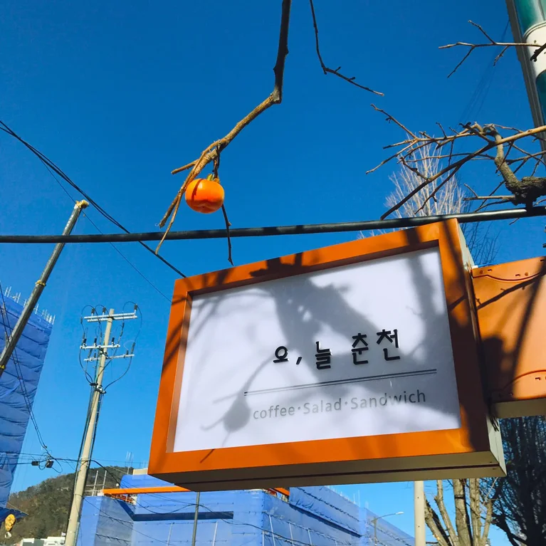 오늘춘천