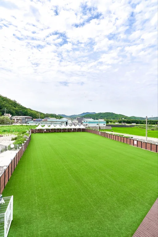 레오나르독 대형견 카페&대관운동장