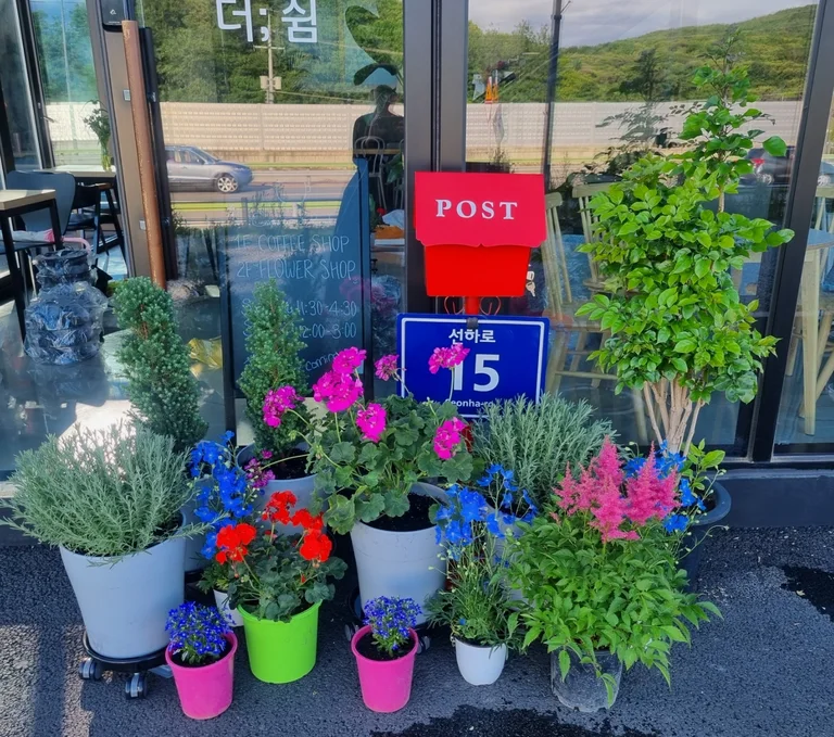 더쉼 카페