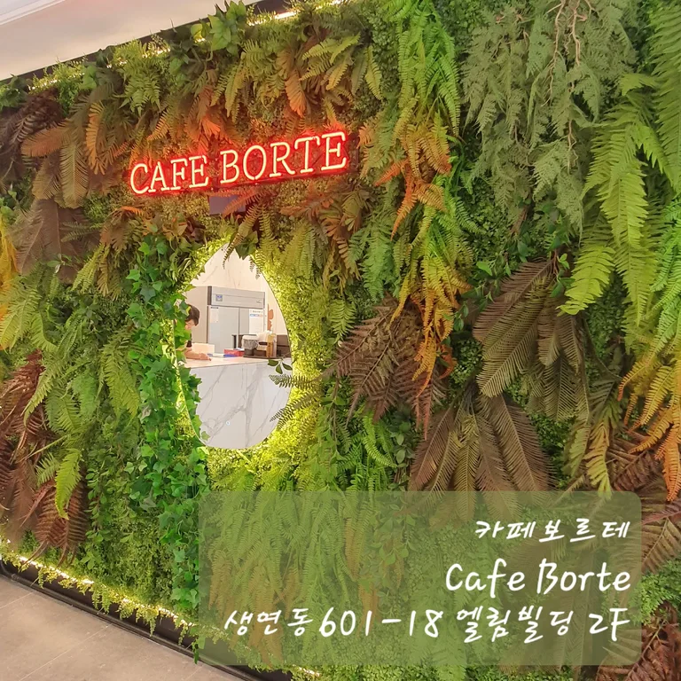 카페보르테