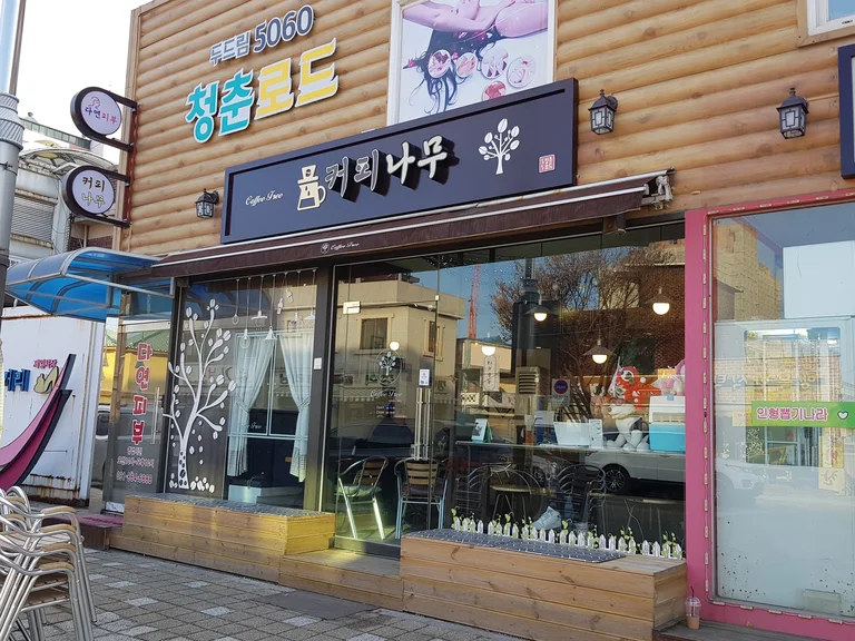 커피나무