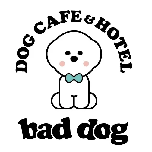 배드독 애견카페 애견호텔 애견미용